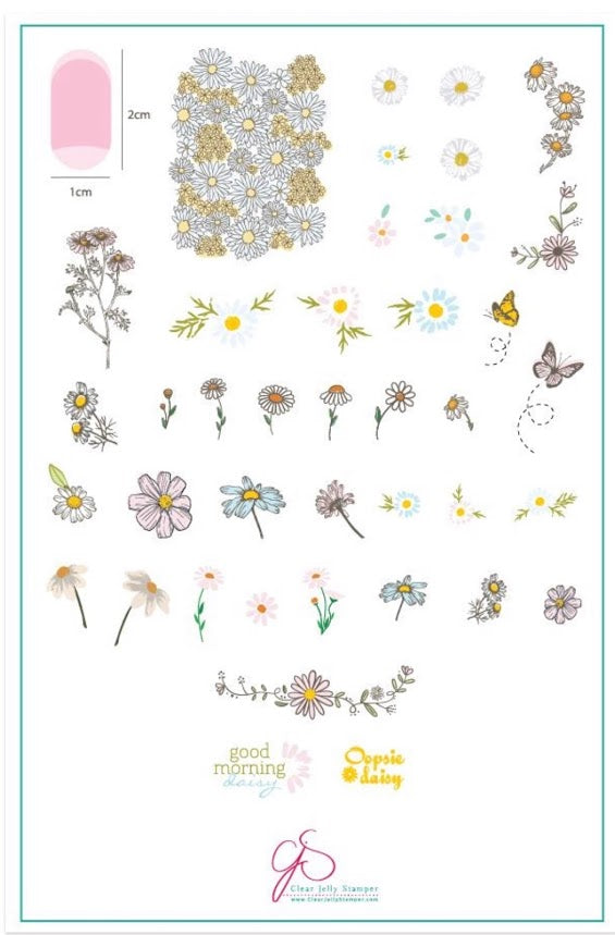 I Dream of Daisies (CJS-104)