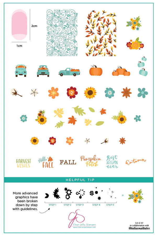 Talias pumpkin patch (CJS-LC-57)