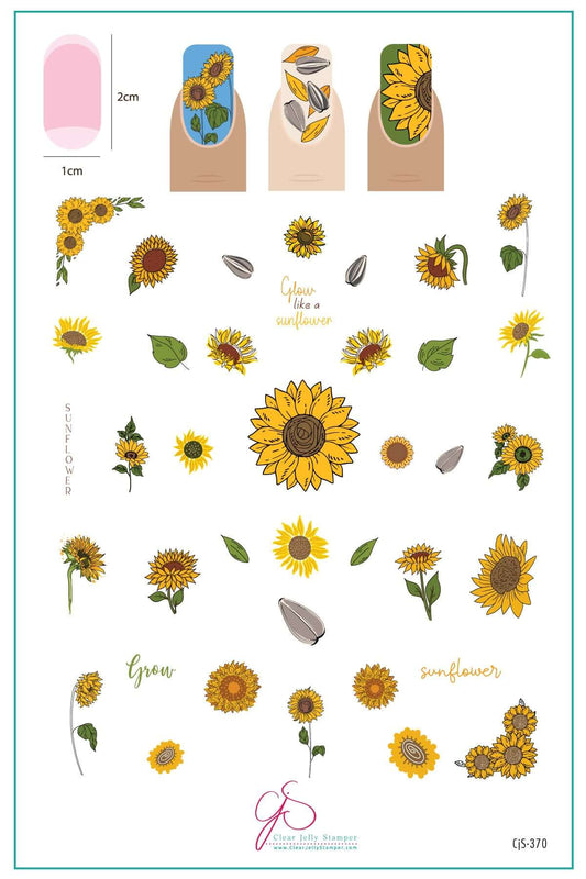 Glow like a Sunflower (CjS-370)